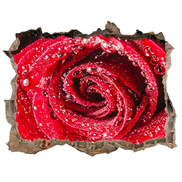 Samolepící díra Ruža s kvapkami vody