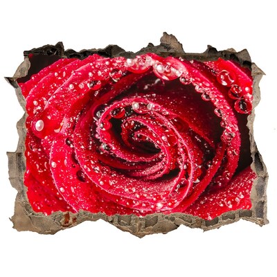 Samolepící díra Ruža s kvapkami vody