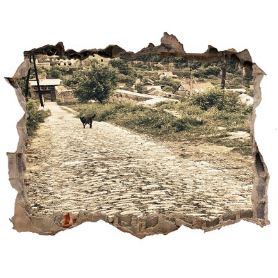 Díra 3D fototapeta nálepka Očarujúca vidiecka cesta