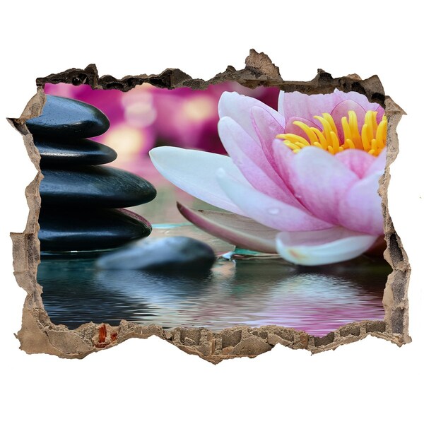 Samolepící díra nálepka Kvety a kamene v zenovej záhrade