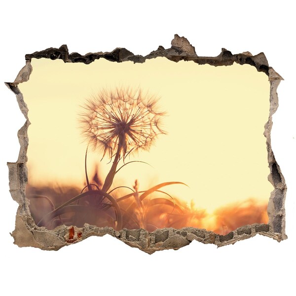 Samolepící díra na stěnu Kvet v slnečných lúčoch