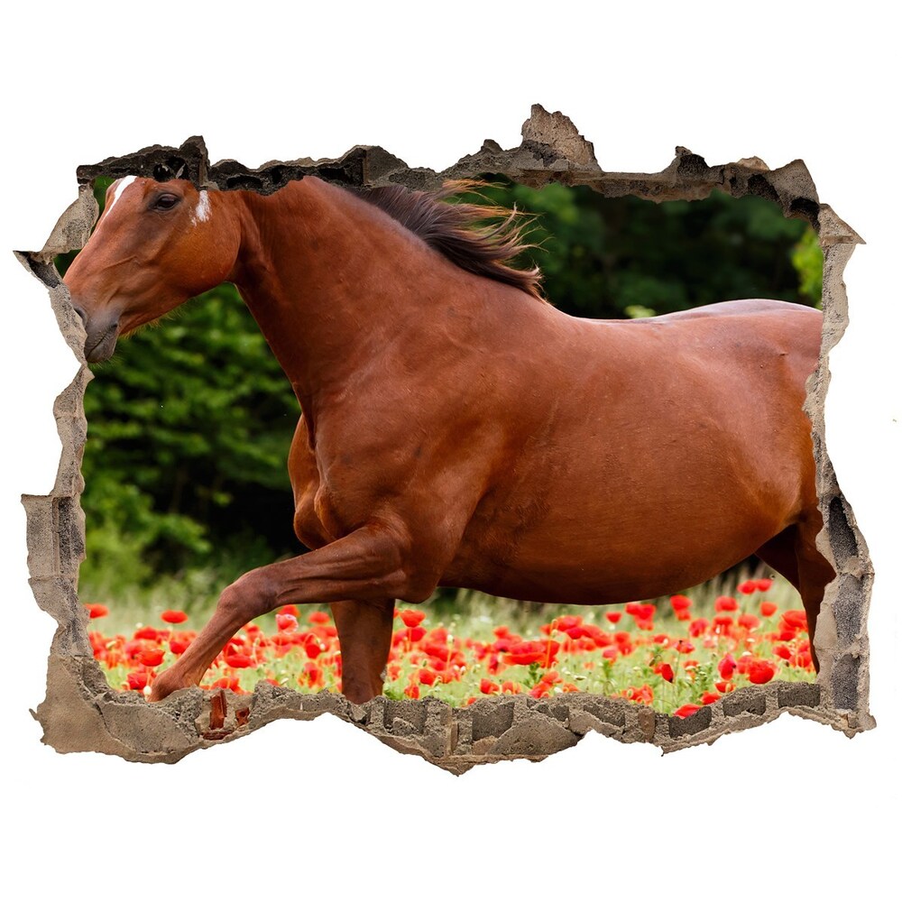 Díra 3D fototapeta nálepka Kôň v poli maku