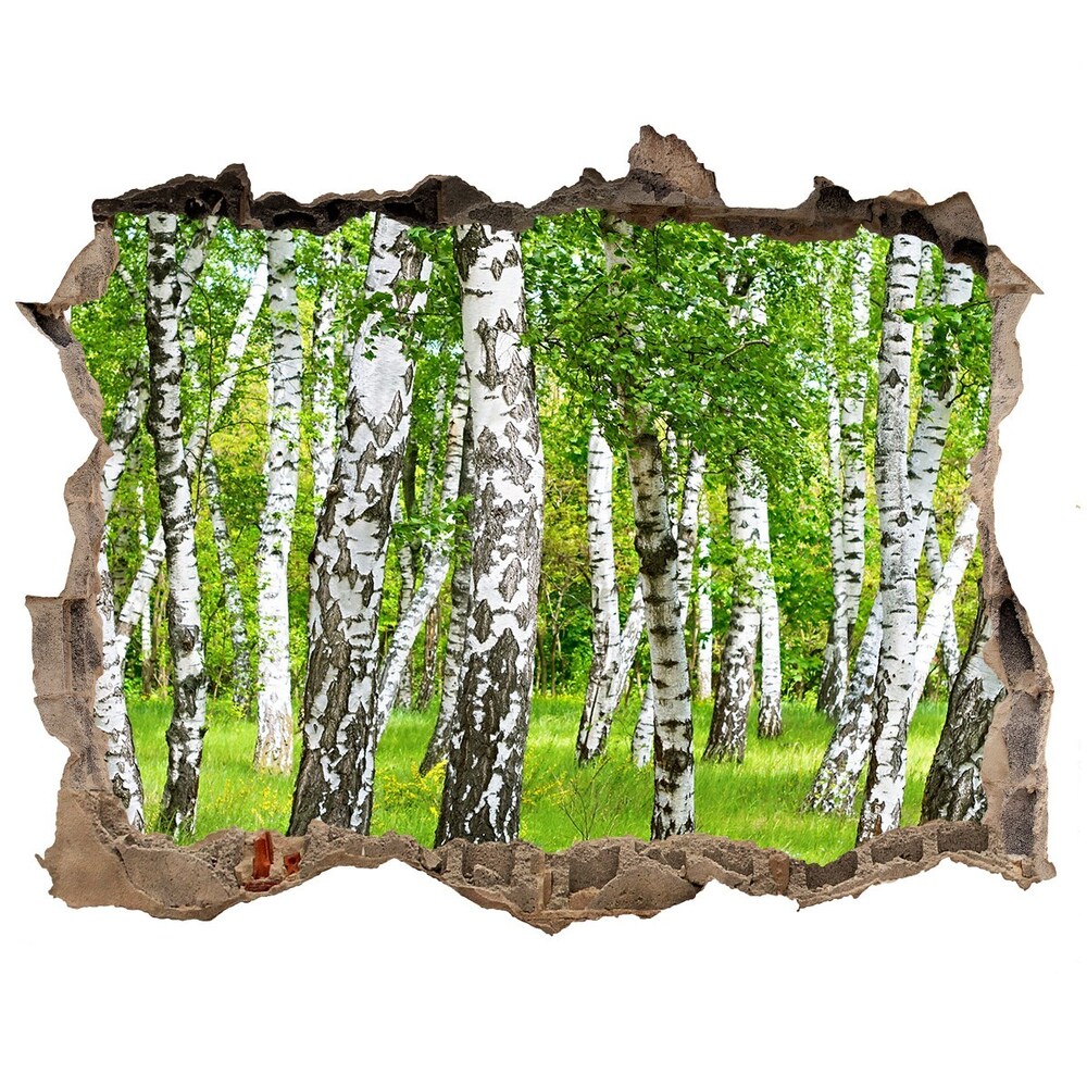 Nálepka fototapeta 3D výhled Brezového lesa