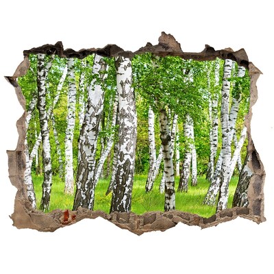 Nálepka fototapeta 3D výhled Brezového lesa