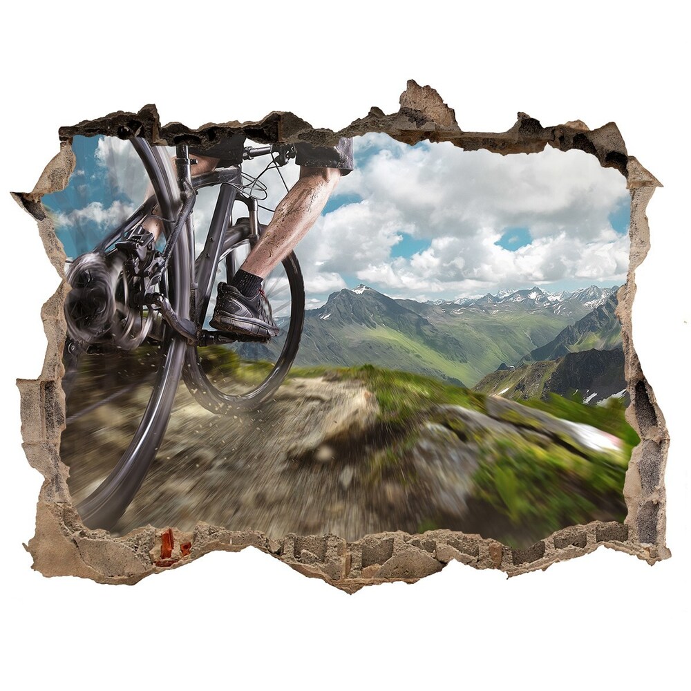 Foto fotografie díra na zeď Na horskom bicykli