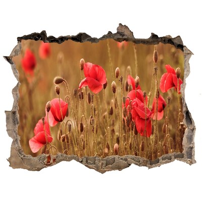 Samolepící díra na stěnu Kvety medzi zničeným múrom