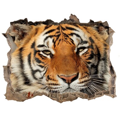 Díra 3D foto tapeta nálepka Tiger bengálsky