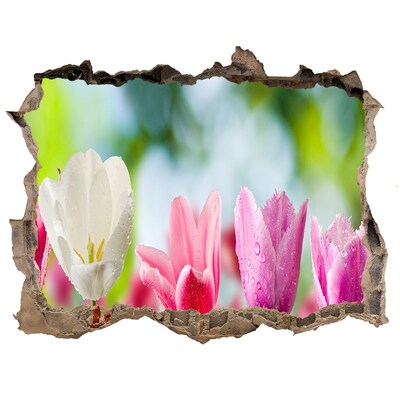 Fototapeta díra na zeď Tulipány