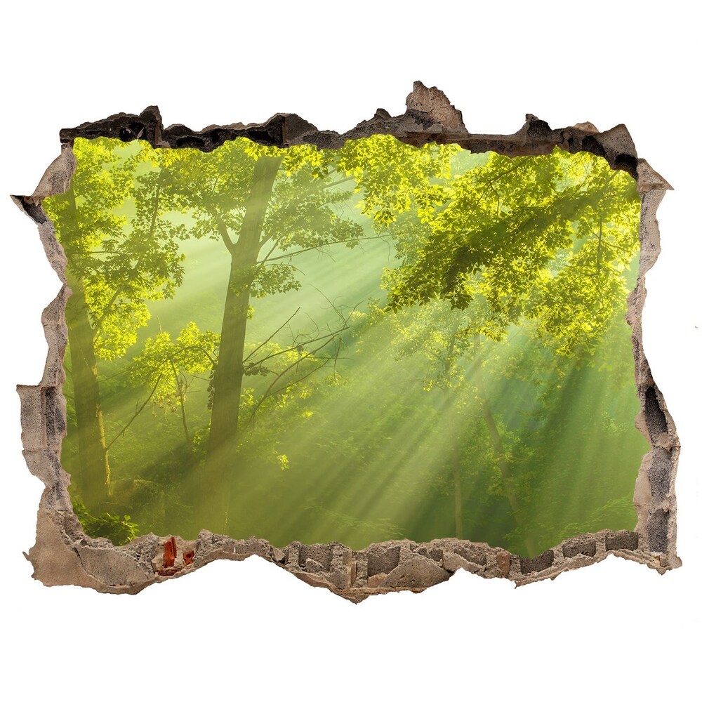 Nálepka fototapeta 3D výhled Forest na slnku