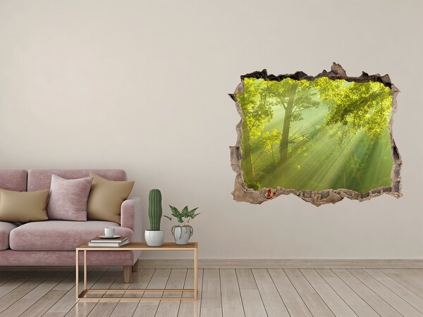 Nálepka fototapeta 3D výhled Forest na slnku