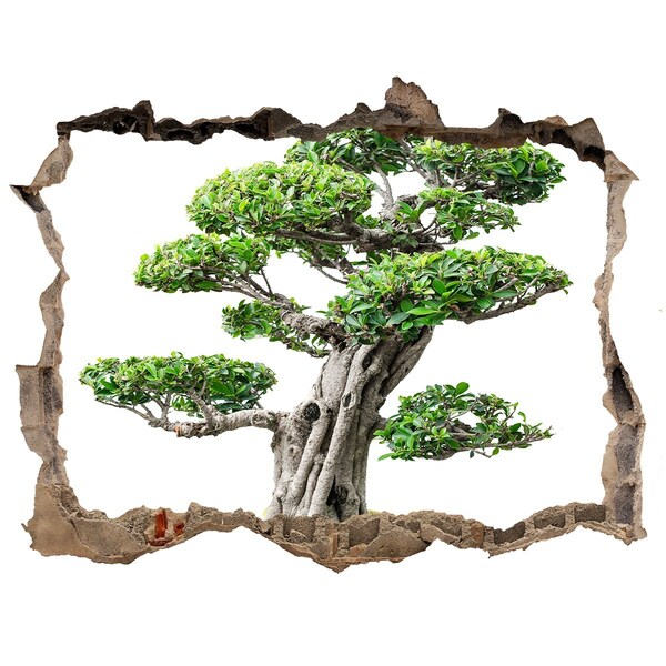 Samolepící díra na stěnu Bonsai strom