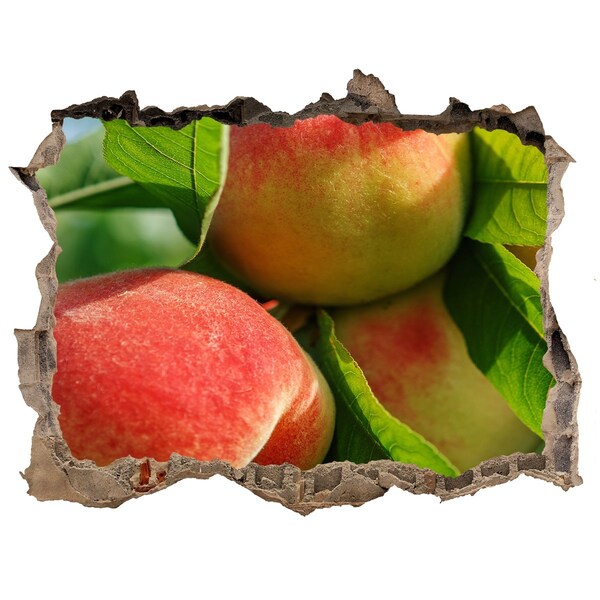 Samolepící nálepka beton Jabloňový sad