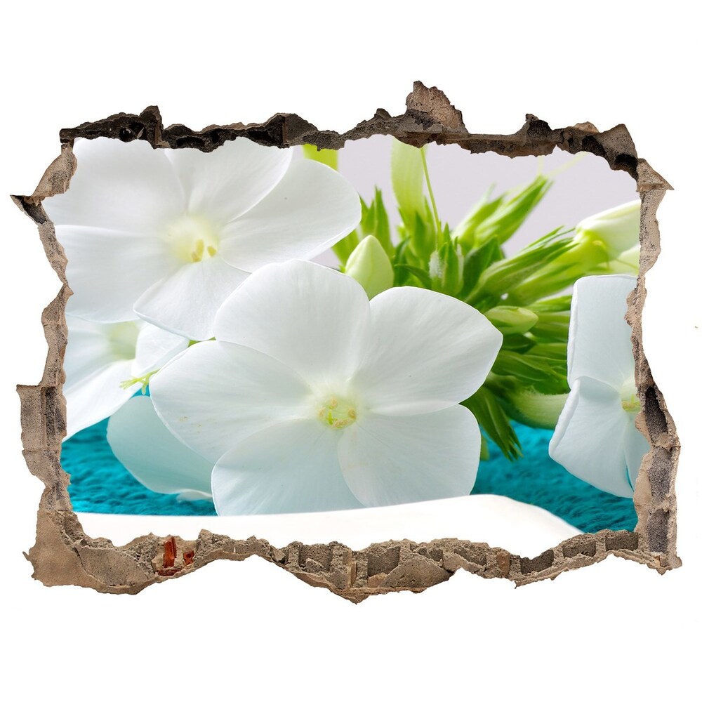 Fototapeta díra na zeď Biele kvety spa
