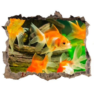 Díra 3D foto tapeta nálepka Zlatá rybka