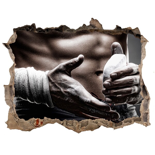 Foto fotografie díra na zeď Šampión v bojových umeniach