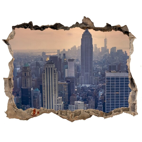 Fototapeta díra na zeď 3D Manhattan new york city