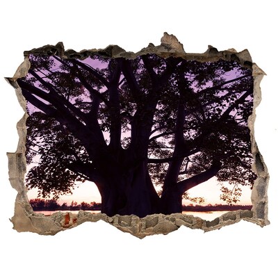 Samolepící díra na stěnu Západ slnka za stromom