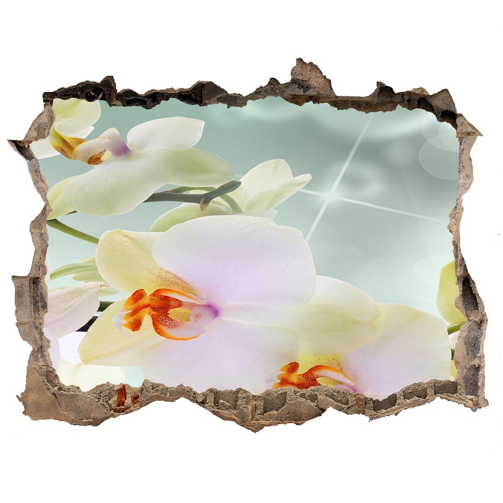 Samolepící díra nálepka Biela orchidea