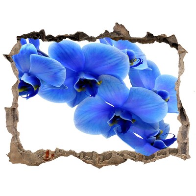Samolepící díra nálepka Modrá orchidea