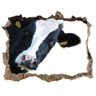 Nálepka fototapeta 3D výhled Krava