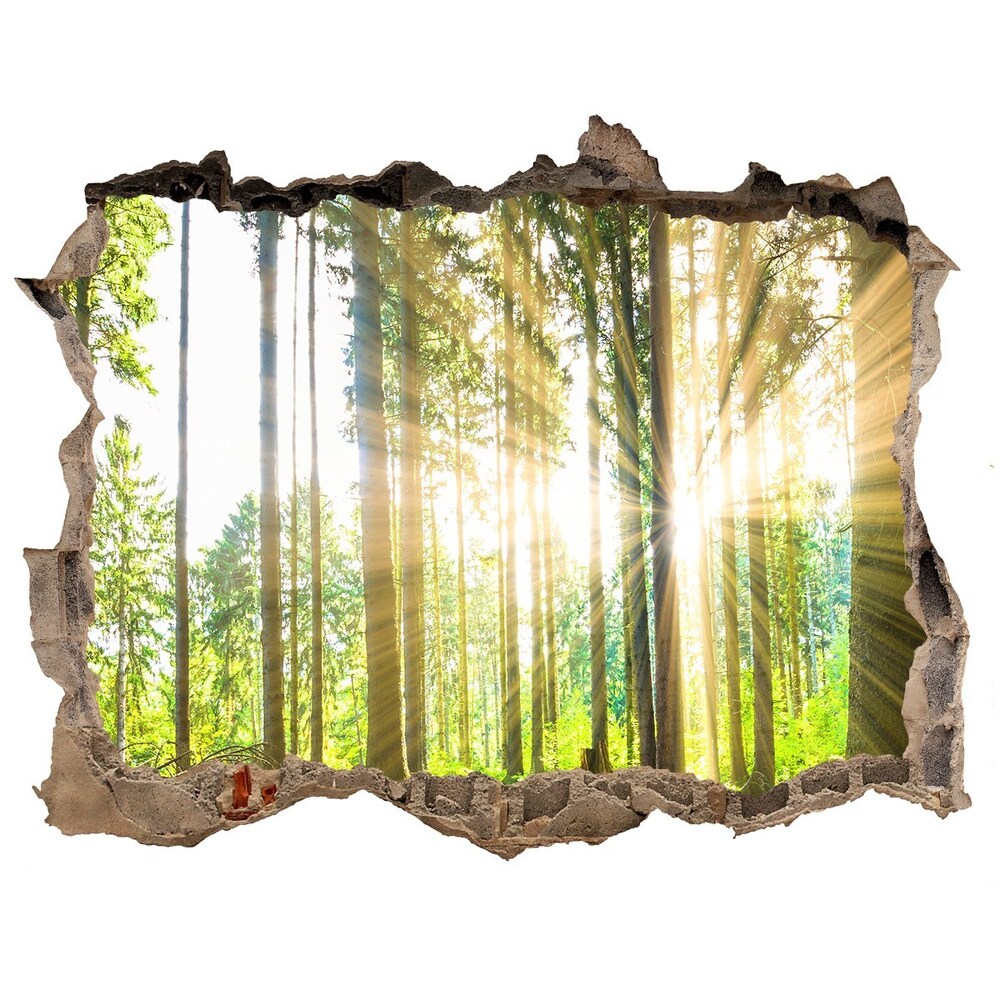 Díra 3D foto tapeta nálepka Forest na slnku