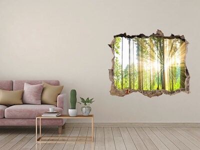 Díra 3D foto tapeta nálepka Forest na slnku