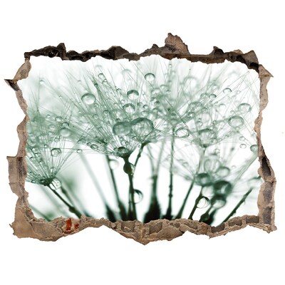 Fotoobraz díra na stěnu Kvetinový sen za stenou