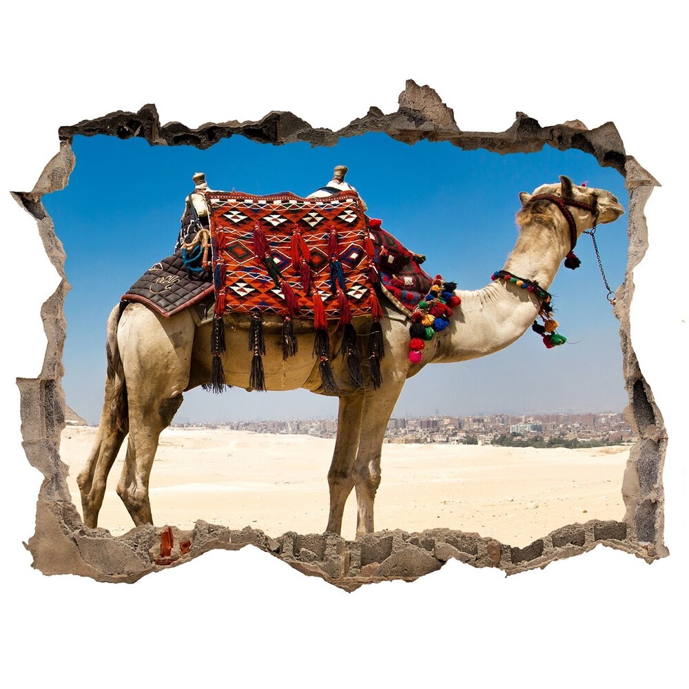 Fotoobraz díra na stěnu Camel v káhire