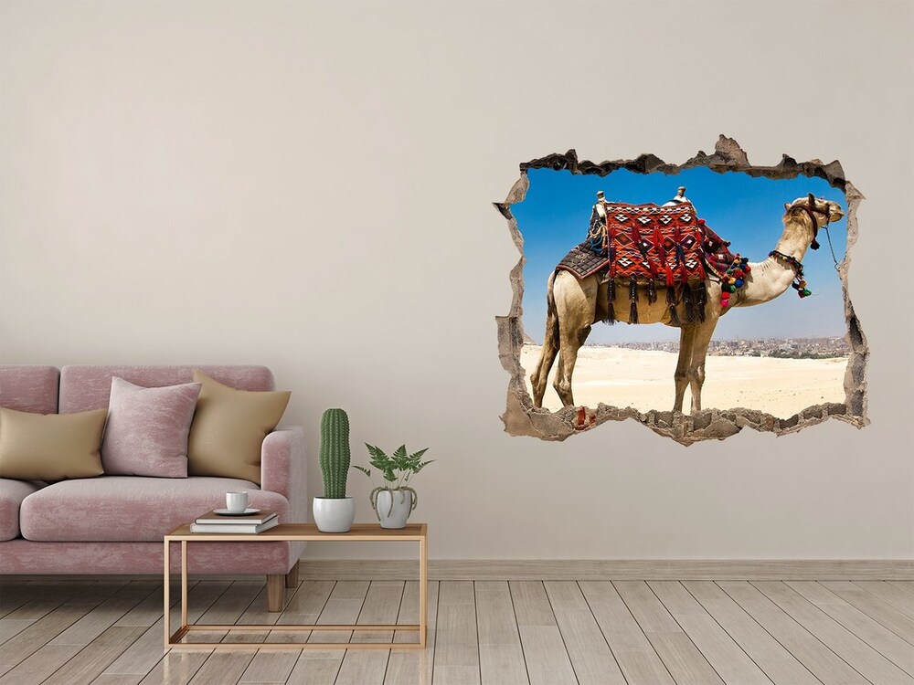 Fotoobraz díra na stěnu Camel v káhire