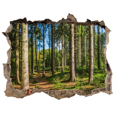 Fotoobraz díra na stěnu Lesný chodník v húštine stromov