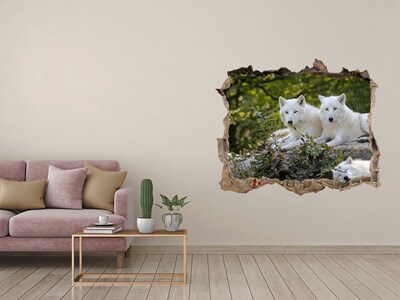Fototapeta díra na zeď Biela skala vlci