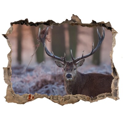 Díra 3D foto tapeta nálepka Jeleň v lese