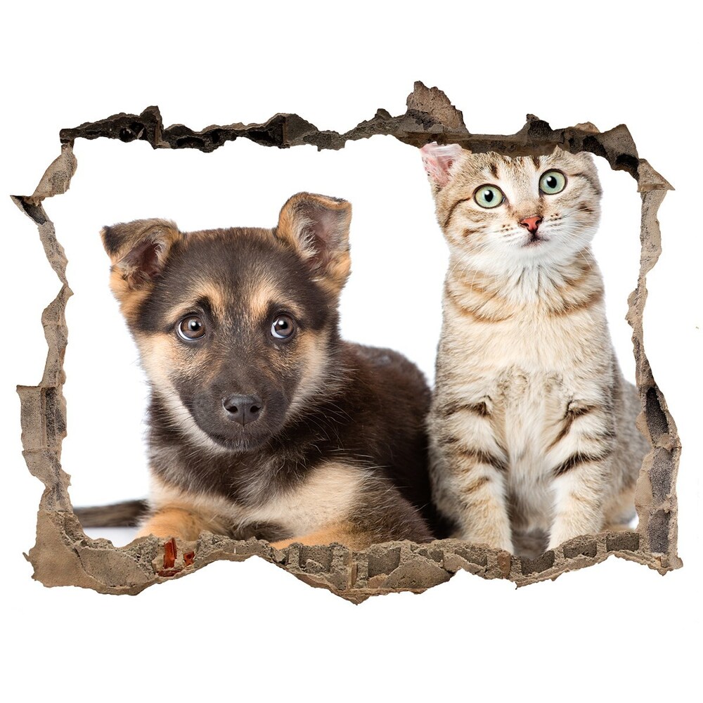 Fototapeta díra na zeď 3D Pes a mačka