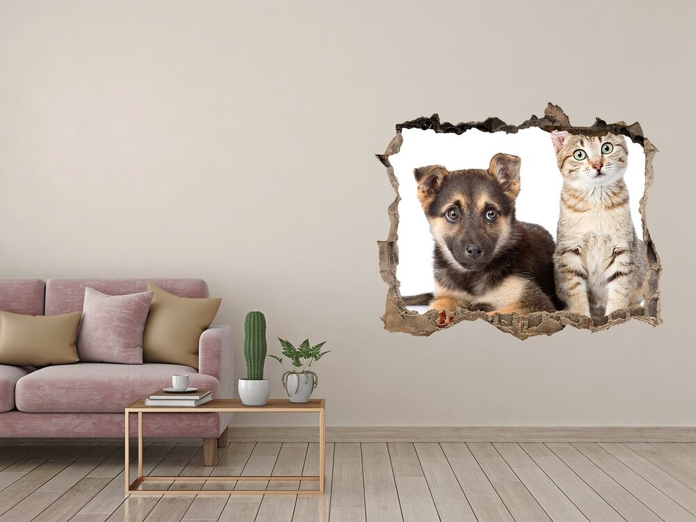 Fototapeta díra na zeď 3D Pes a mačka
