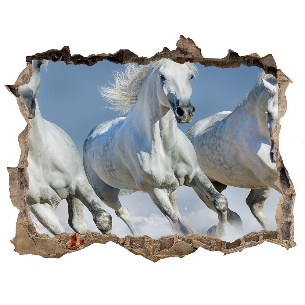 Fototapeta díra na zeď Cválajúca kone