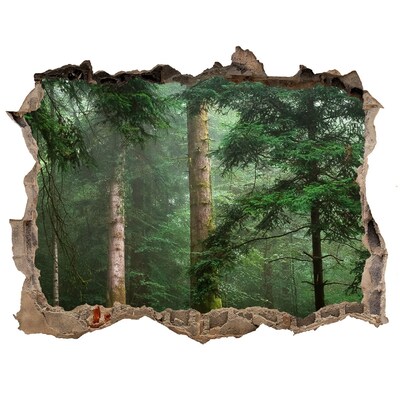 Díra 3D foto tapeta nálepka Hmla v lese