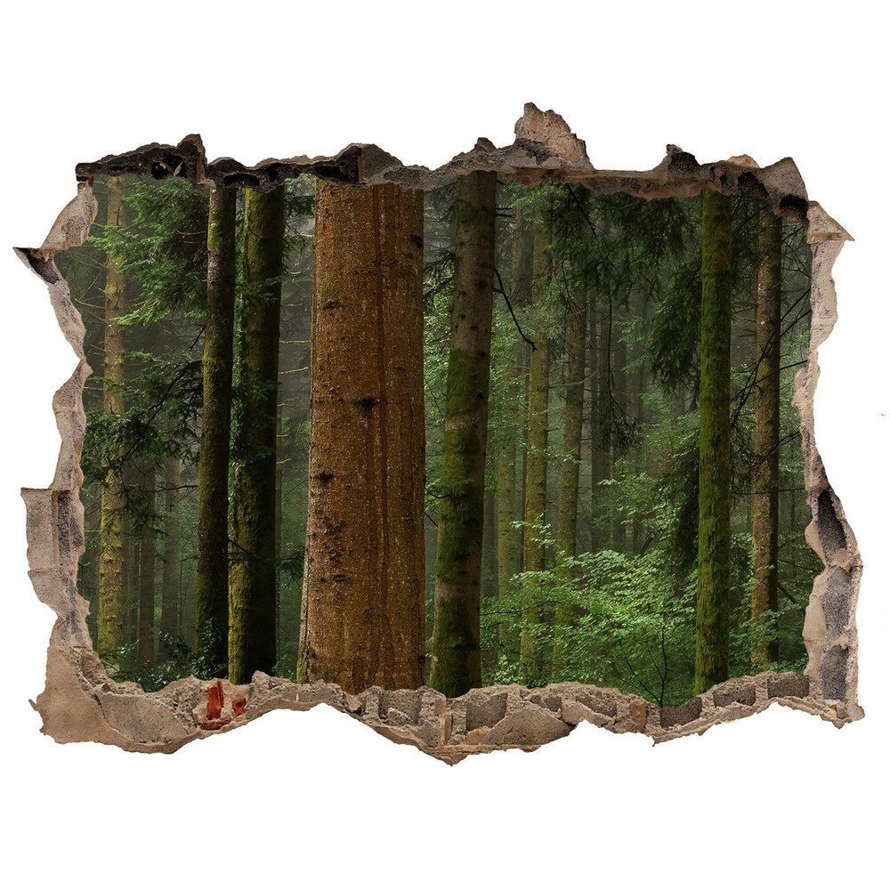Fototapeta díra na zeď Hmla v lese
