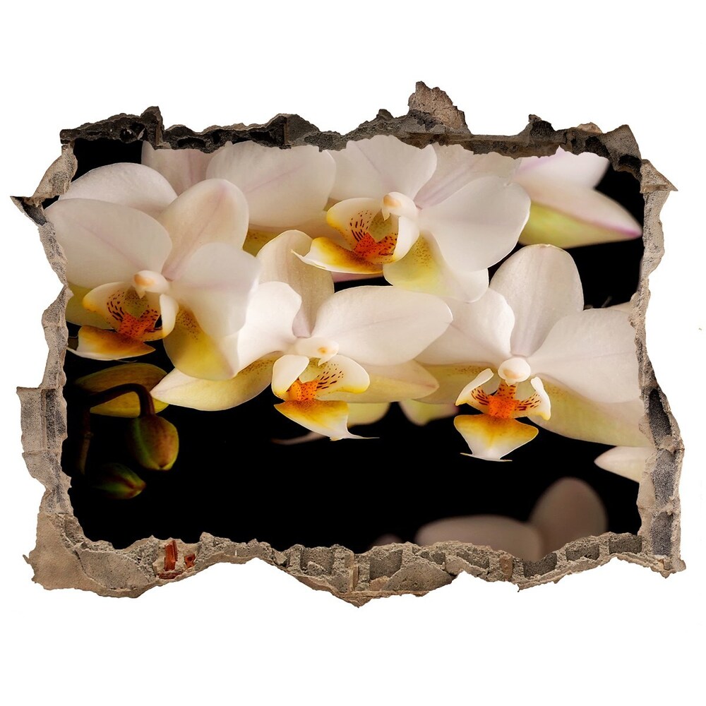 Nálepka fototapeta 3D výhled Orchidea