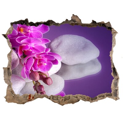 Fotoobraz díra na stěnu Orchidey na pozadí kameňov