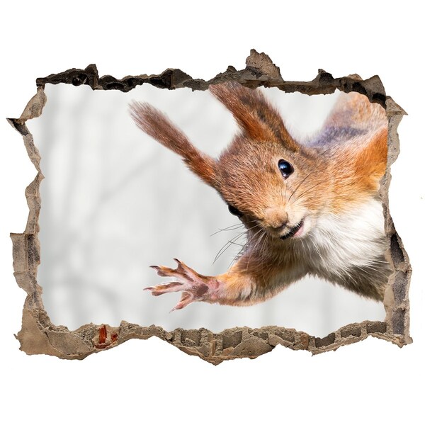 Nálepka fototapeta 3D na zeď Veverička v akcii