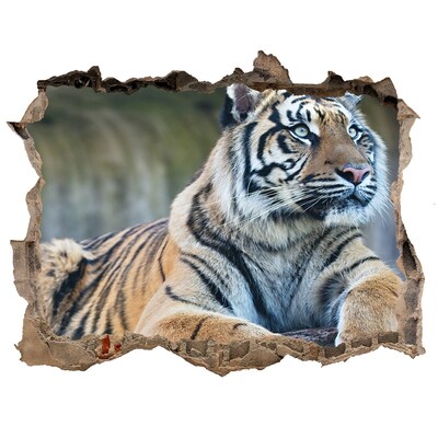 Nálepka 3D díra na zeď Tiger