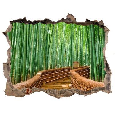 Díra 3D fototapeta na stěnu nálepka Bambusové lesy