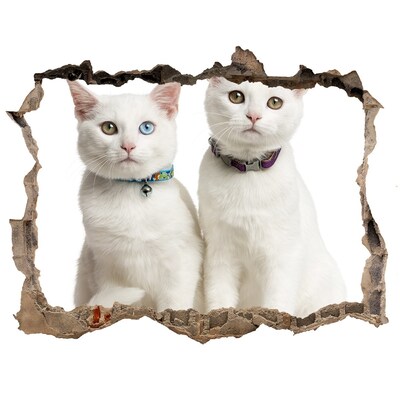 Nálepka fototapeta 3D na zeď Biele mačky