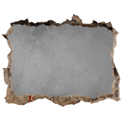 Díra 3D fototapeta nálepka Prasknutá stena s výhľadom na betón