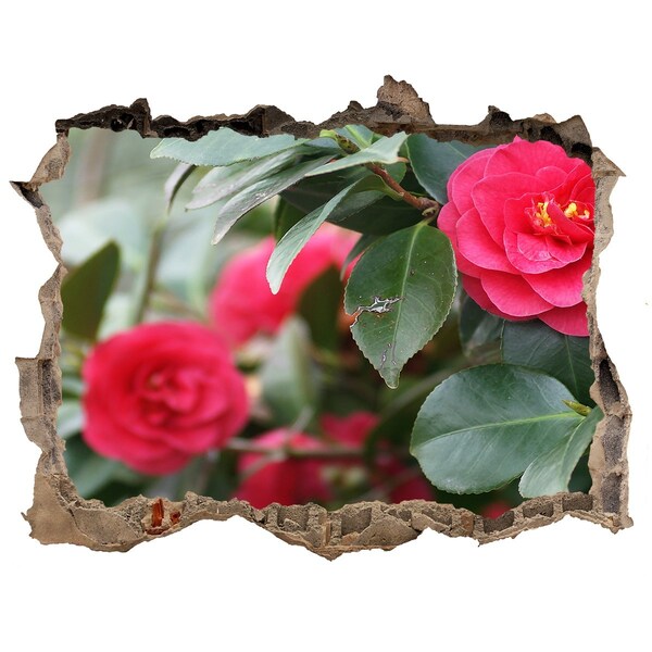 Samolepící díra na stěnu Kvetinová záhrada z betónu