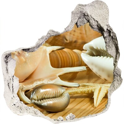 Diera 3D v stene na stenu Morské poklady