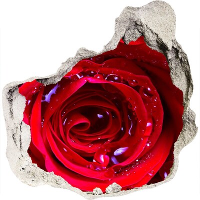 Nálepka diera na stenu betón Kvet ruže