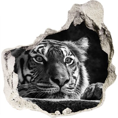 Nálepka fototapeta na stenu Tiger