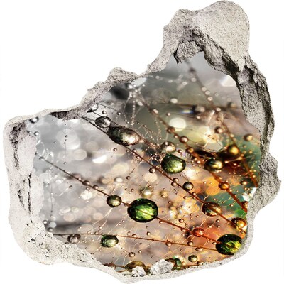 Foto fotografie diera na stenu Kryštálová štruktúra vo svetle