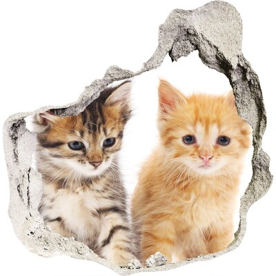 Nálepka fototapeta 3D Mačací priatelia za dierou